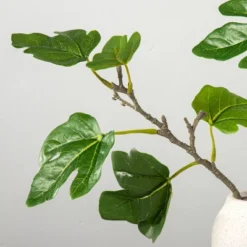 Faux Fig Leaf Branch Arrangement - Hearth & Hand™ With Magnolia 8 Faux Fig Leaf Branch Arrangement - Hearth & Hand™ With Magnolia -Home Decor GUEST 10f75cfd a7b2 47ac 8aba d9c6ab1efc9d