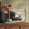 20" X 16" Bear Photography Framed Art Brown - Threshold™ -Home Decor GUEST 3517e61a d5f0 4c54 bc45 14e5e4e062d4