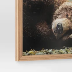 20" X 16" Bear Photography Framed Art Brown - Threshold™ 7 20" X 16" Bear Photography Framed Art Brown - Threshold™ -Home Decor GUEST 8d29808a 8d0a 4121 a8c8 64d15cc45658
