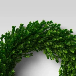 21.25" Preserved Boxwood Wreath - Threshold™ -Home Decor GUEST bd029a70 1da0 4655 86eb 9427f613fc99