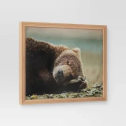 20" X 16" Bear Photography Framed Art Brown - Threshold™ 6 20" X 16" Bear Photography Framed Art Brown - Threshold™ -Home Decor GUEST bdd5f4cc 4d39 4967 a892 83937e1fe495