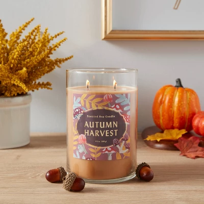 21.5oz Lidded Glass Jar 2-Wick Autumn Harvest Candle - Opalhouse™ 3 21.5oz Lidded Glass Jar 2-Wick Autumn Harvest Candle - Opalhouse™