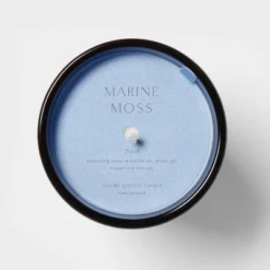 Colored Vase Glass With Dustcover Marine Moss Candle Blue - Threshold™ 11 Colored Vase Glass With Dustcover Marine Moss Candle Blue - Threshold™ -Home Decor GUEST e5035607 20cd 4e66 bc9b 502503c48b69